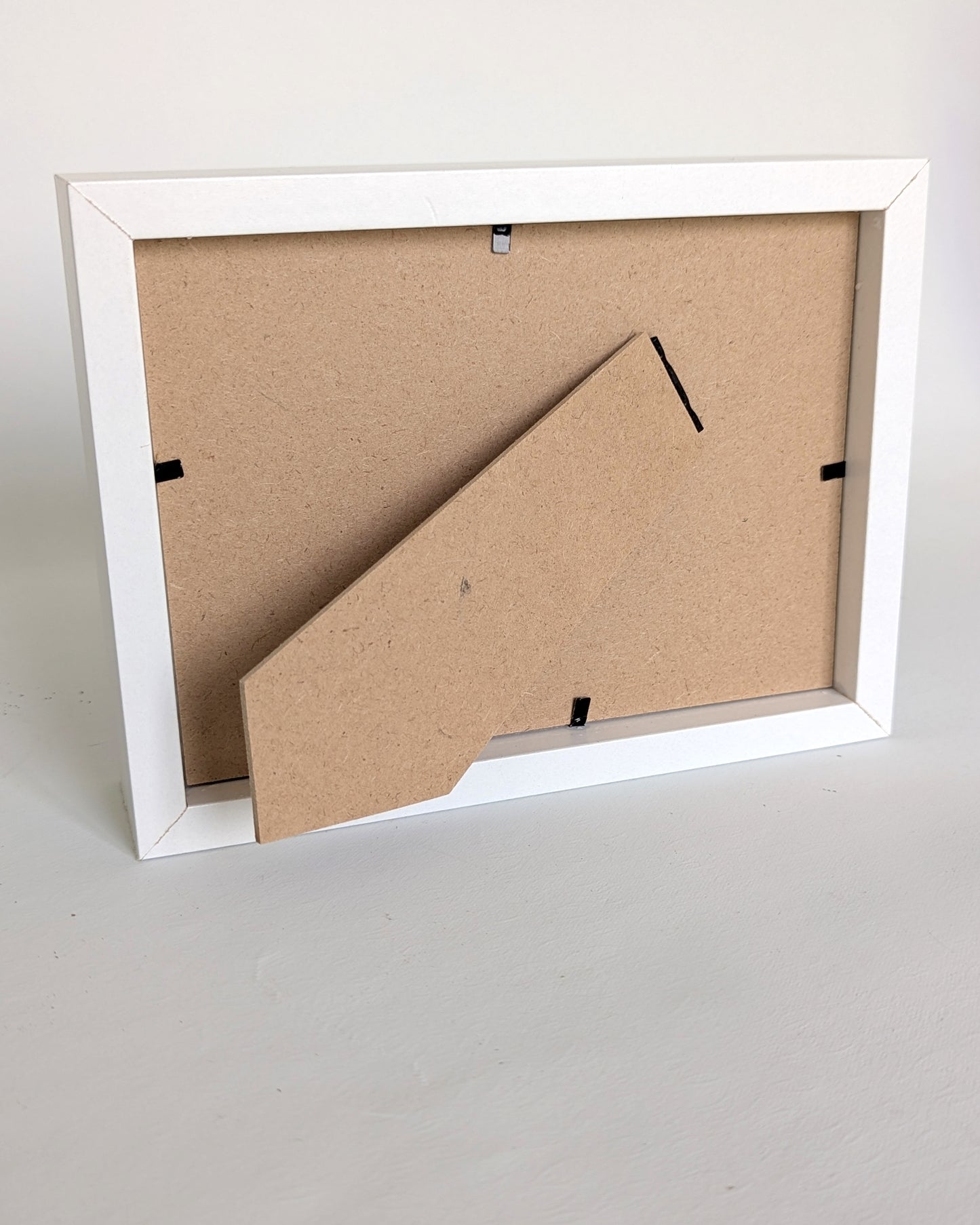 שמיניית דובונים