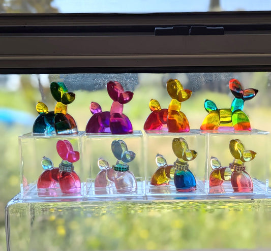 כלבי בלון מיניאטורים