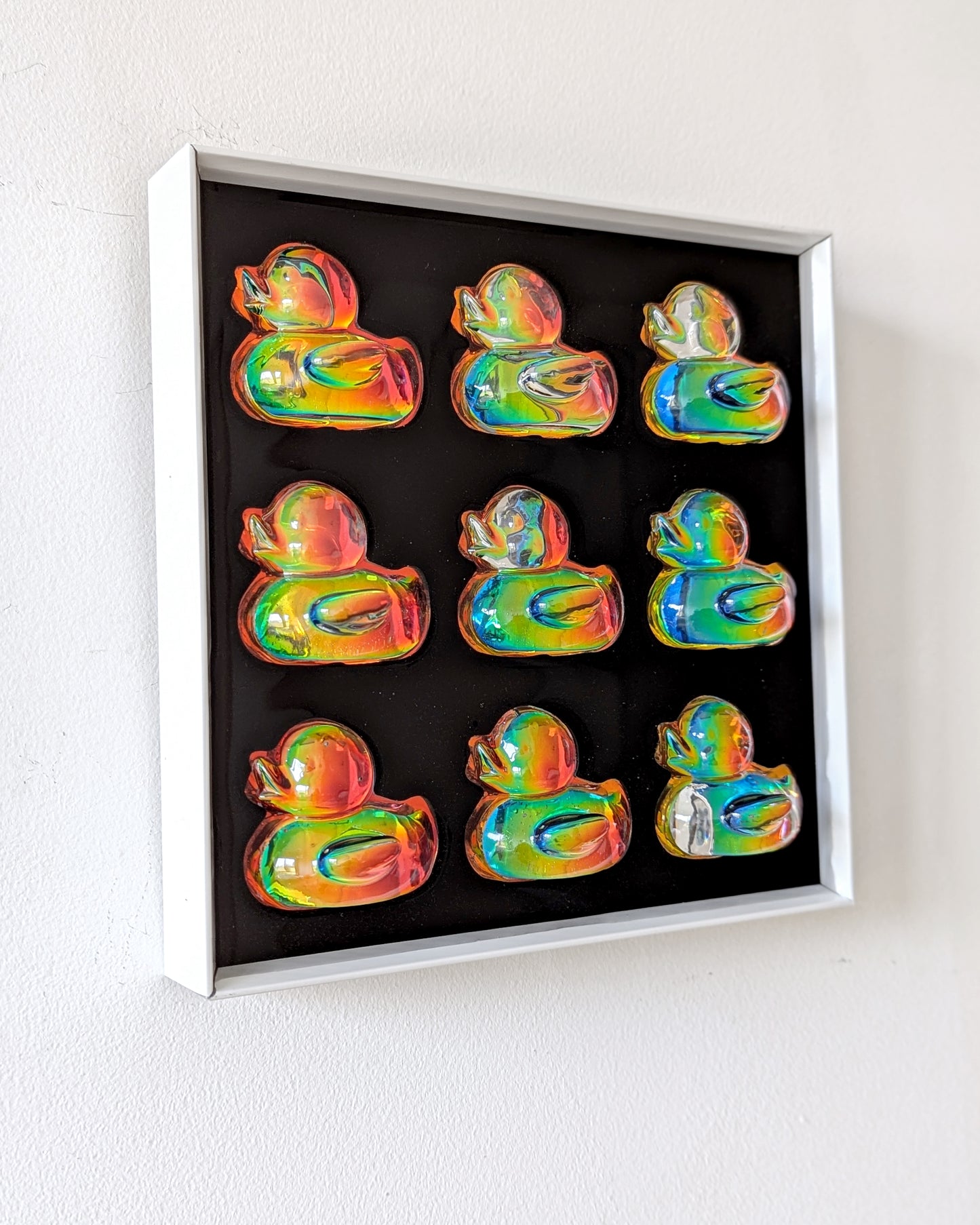 להקת ברווזים הולוגרפי - כחול כתום