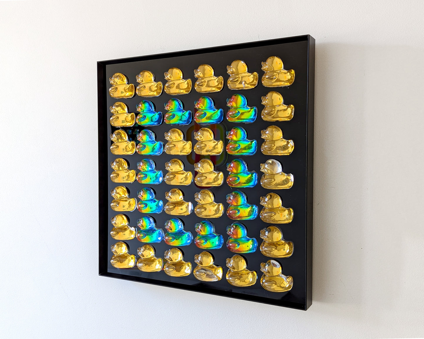 להקת ברווזים גדולה - שחור