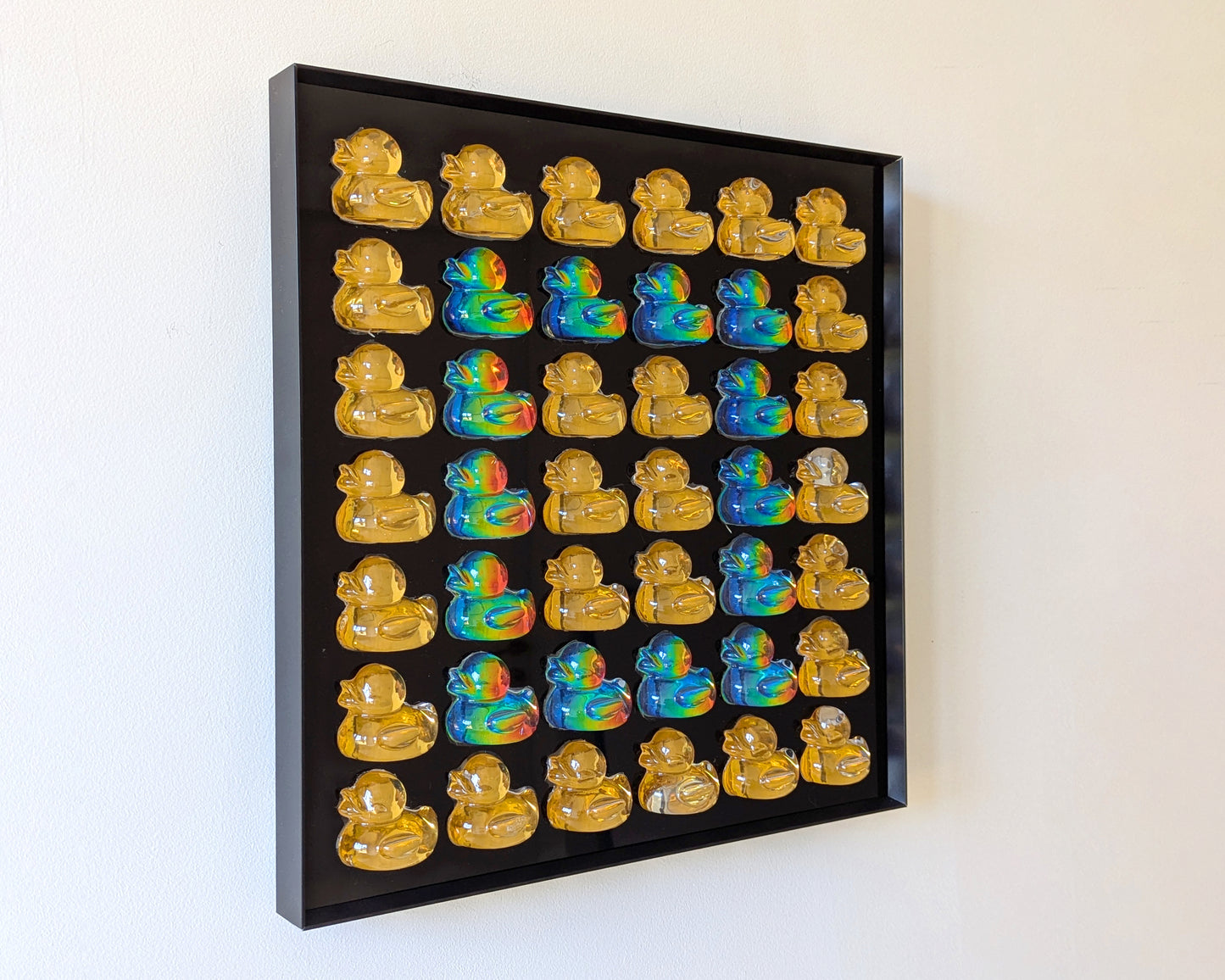 להקת ברווזים גדולה - שחור