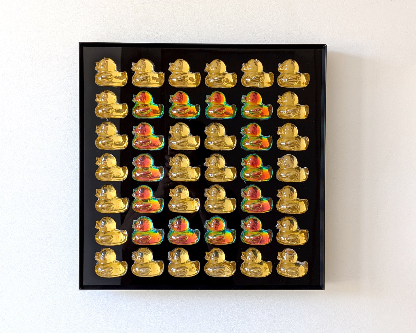 להקת ברווזים גדולה - שחור