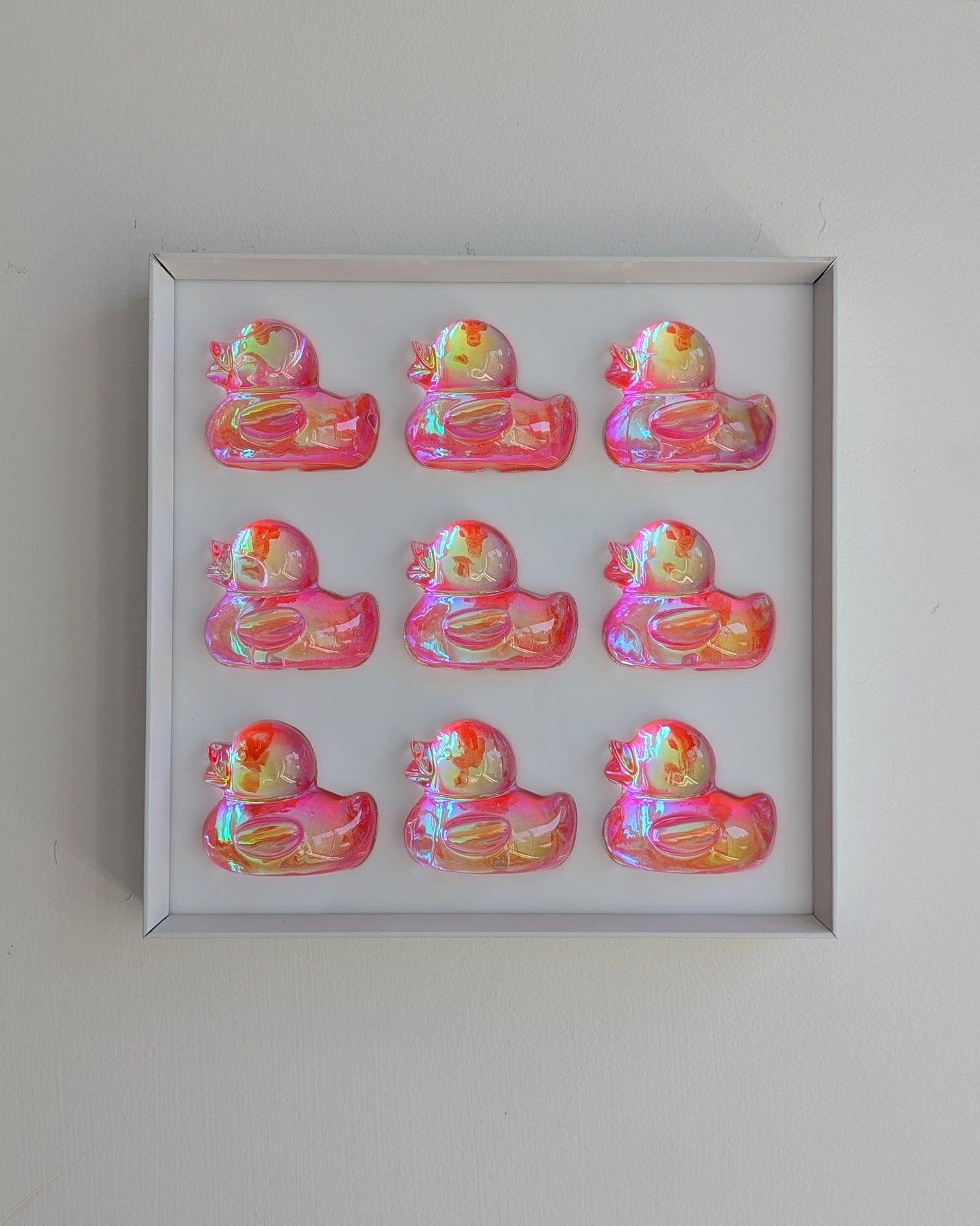 להקת ברווזים ורודים