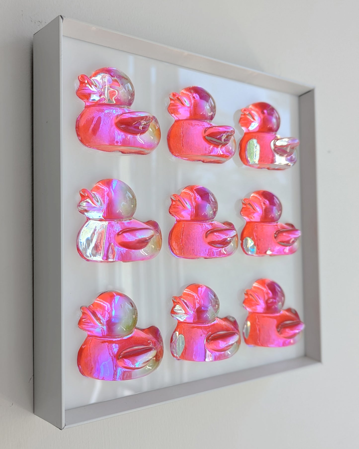 להקת ברווזים ורודים