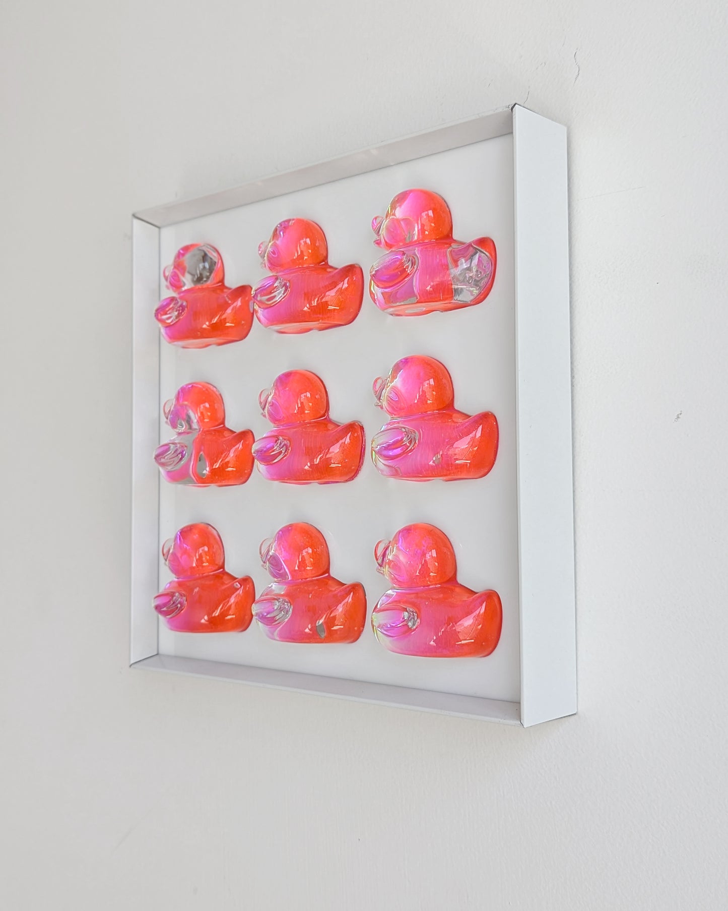 להקת ברווזים ורודים