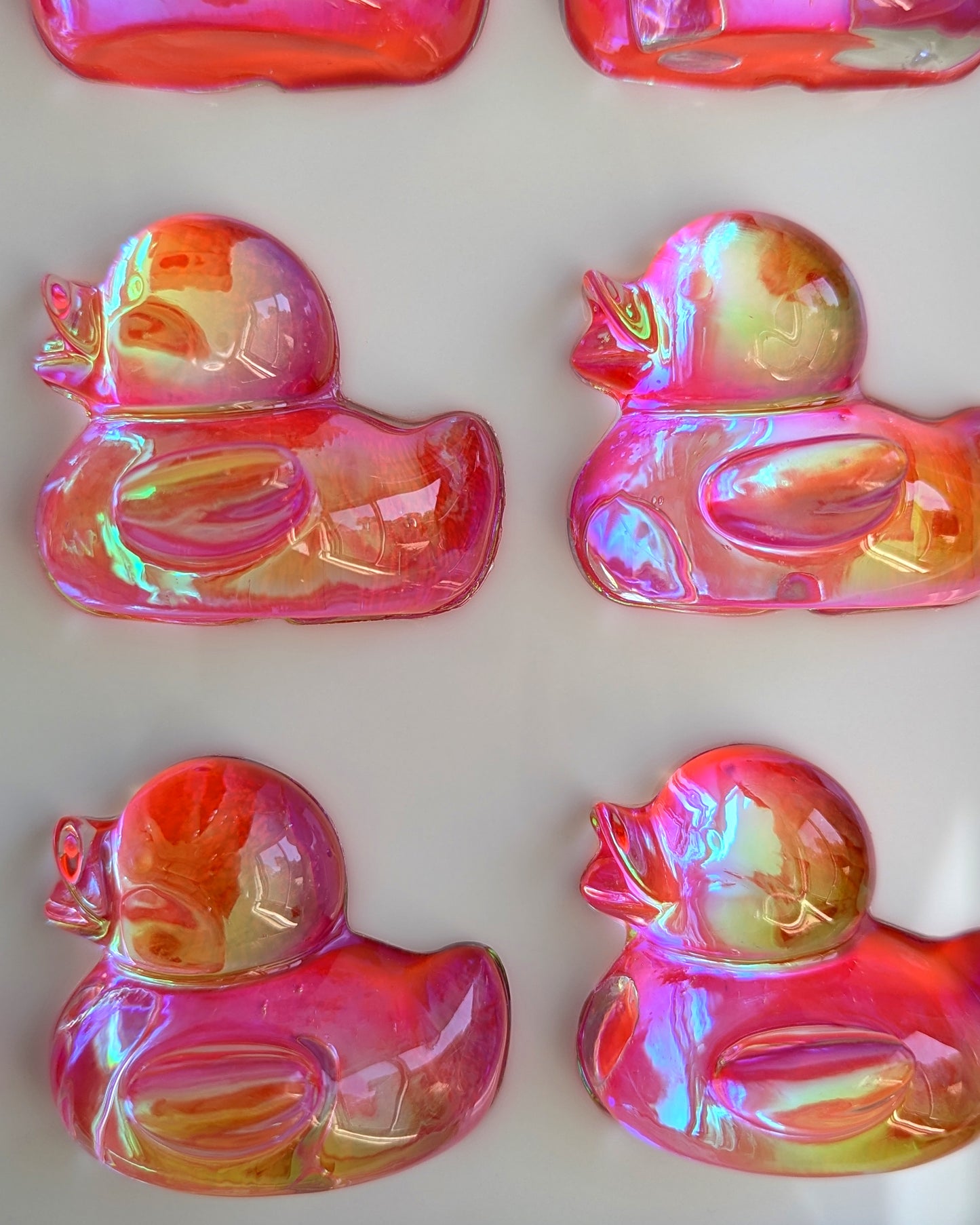 להקת ברווזים ורודים