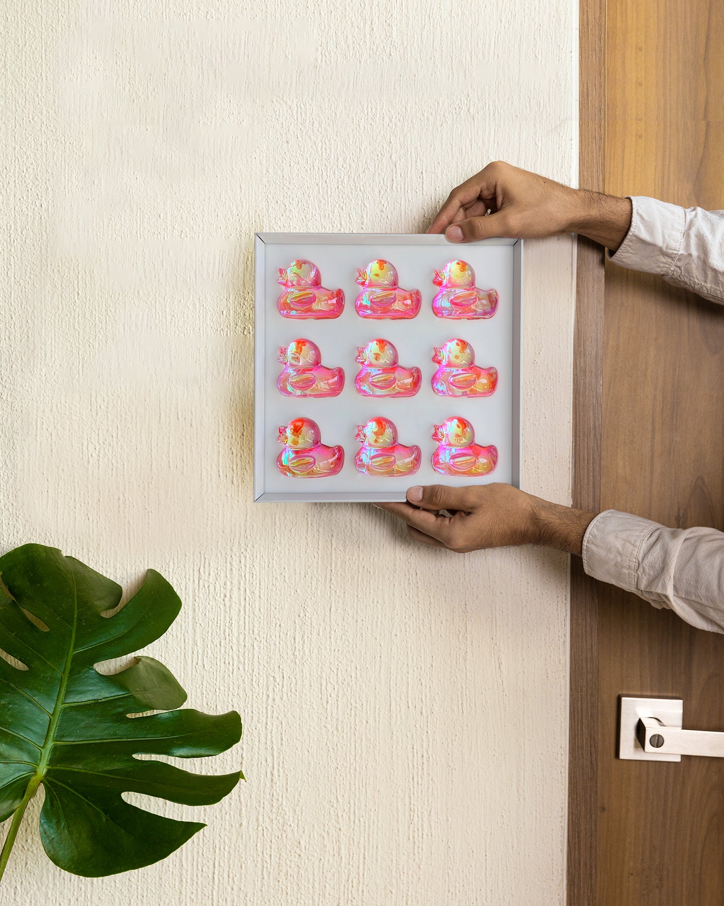 להקת ברווזים ורודים