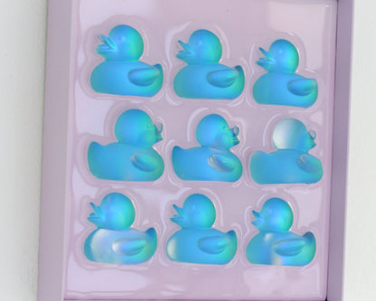 Mesmerizing Blue Ducks