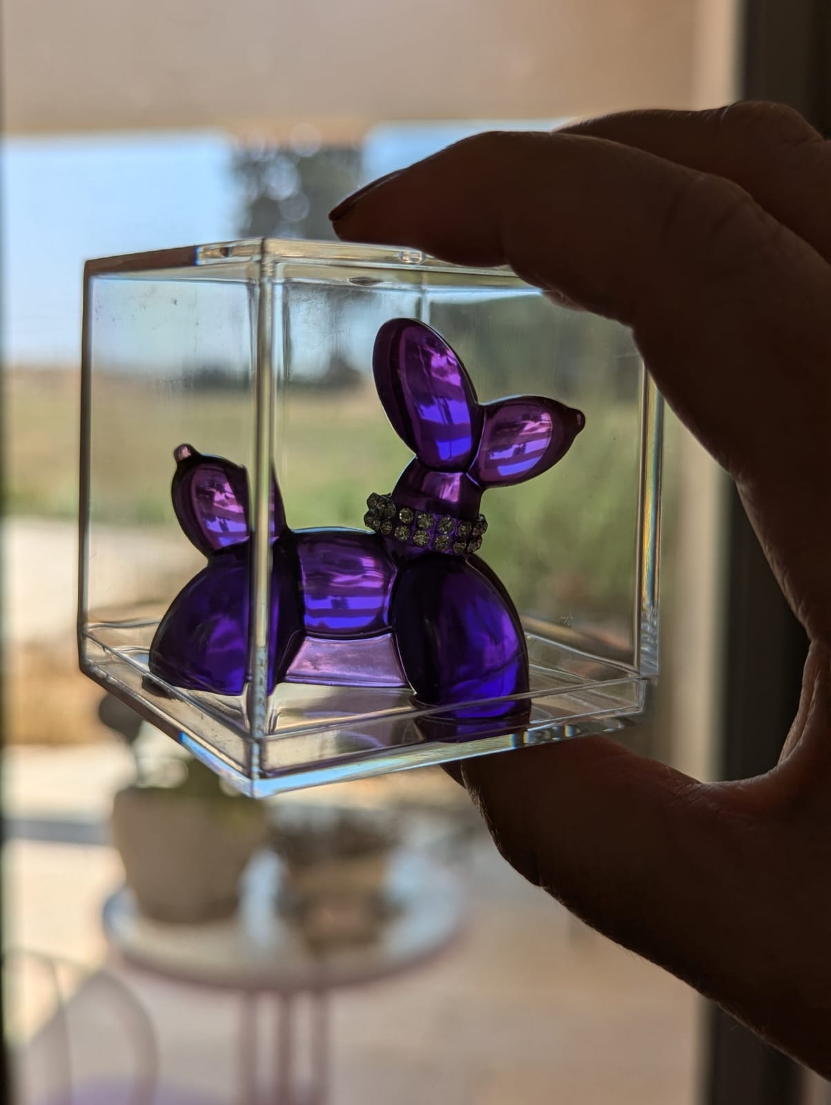 Mini Balloon Dog with Sparkling Collar