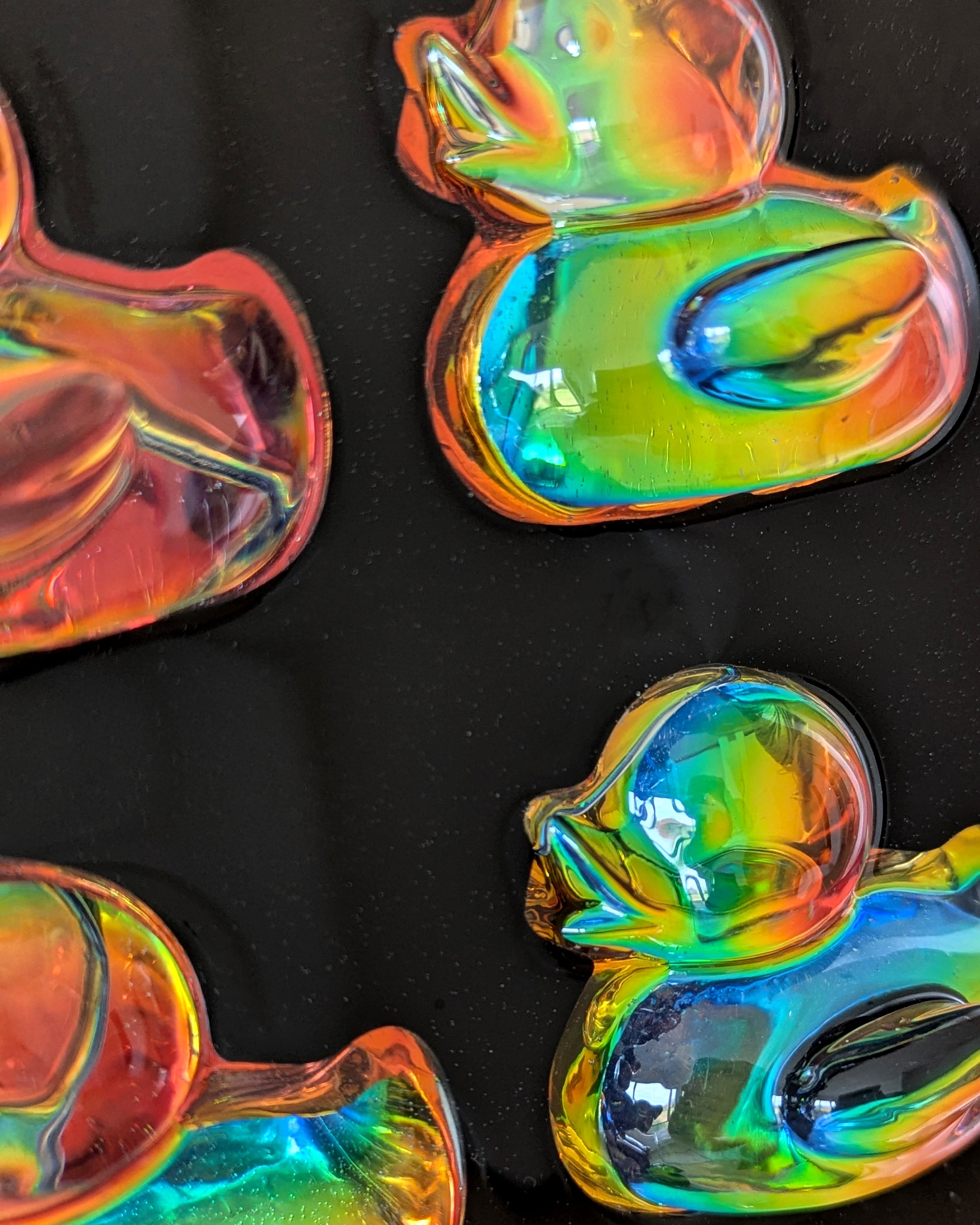Close-up of holographic duck 3D resin wall art in metal frame, shimmering colors on wall