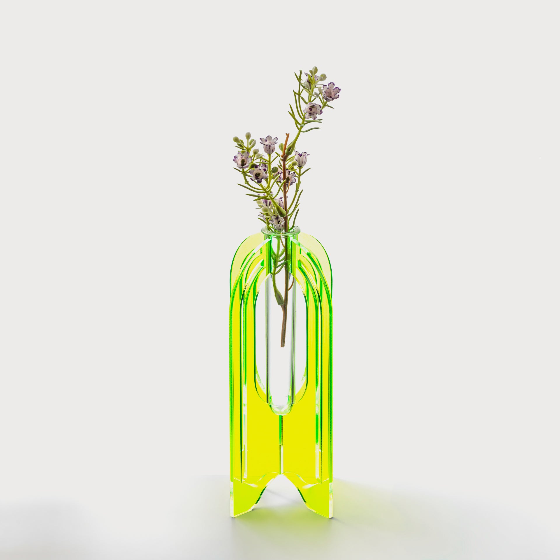 Test Tube Vase