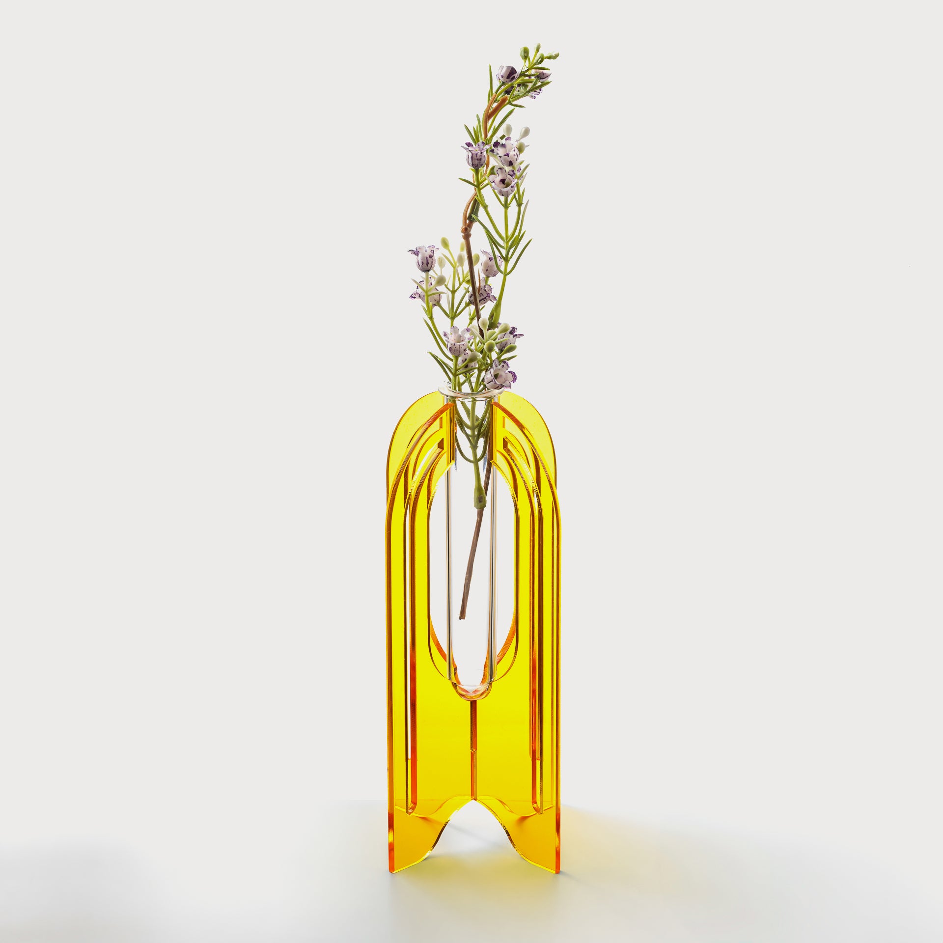 Test Tube Vase