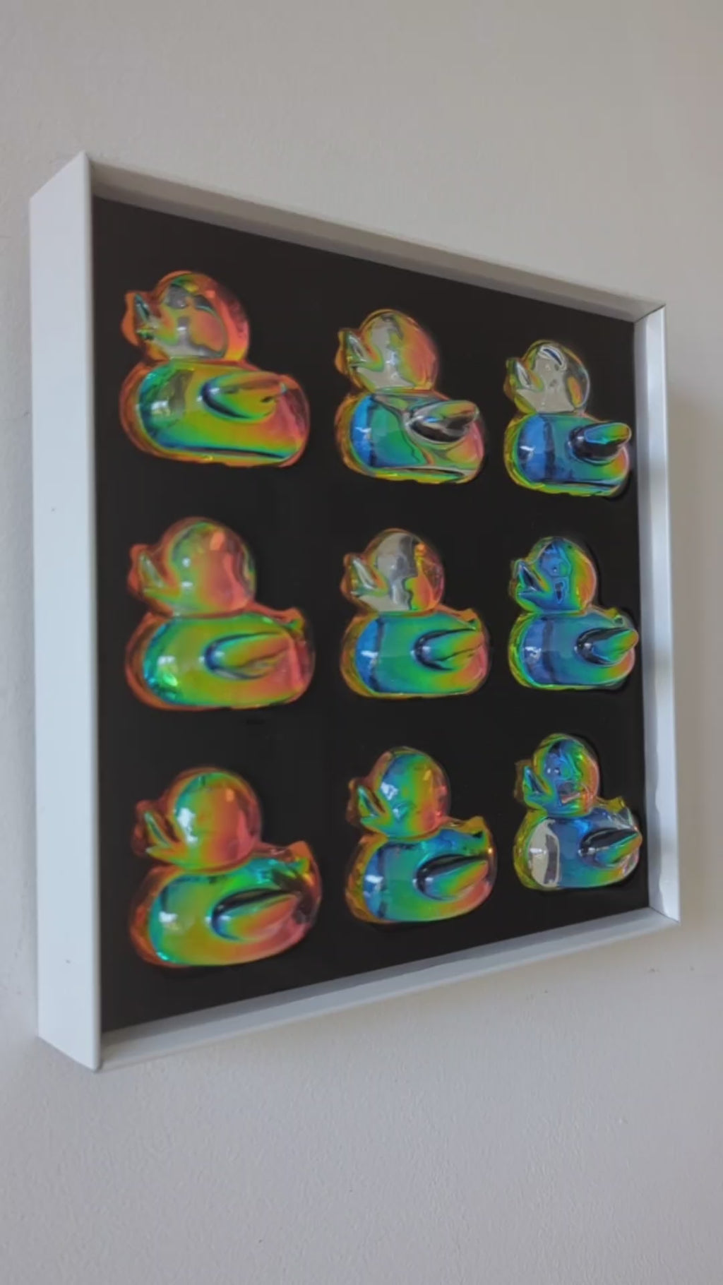 להקת ברווזים הולוגרפי - כחול כתום